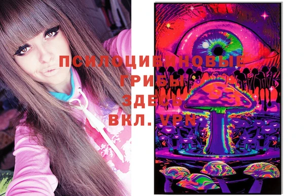 мет Осинники