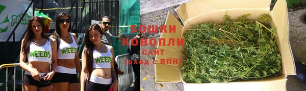крисы Осташков